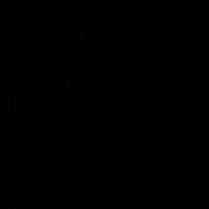 Meet your Posher, Rodrigo